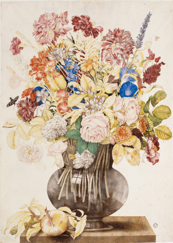L’autunno in fiore di Poggio a Caiano. In mostra pitture floreali su pergamena