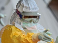Salute e social: cala l’Hantavirus, ma esplode il “caso Ebola” sul web