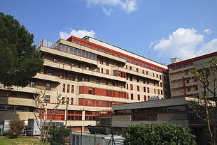 Topi in ospedale al Torregalli di Firenze, evacuati 8 pazienti