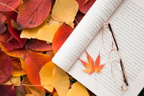 Letture d’autunno a Poggibonsi dal 3 ottobre con Michele Mari,  Marco Malvaldi, “Tony Face”