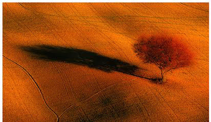 “Un sogno chiamato Toscana”, a Villa a Sesta dal 3 ottobre in mostra gli scatti di Gianluca …