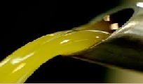 Olio di oliva, boom delle importazioni dalla Spagna