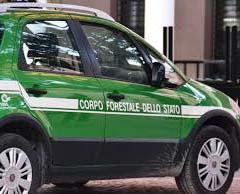 Sequestrati nel Veronese 11.400 litri di vino e mosti