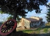 Agriturismo, estate positiva. La domanda tiene e stranieri al +9%