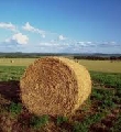 Legge di stabilità, per Agrinsieme è ‘Manovra positiva, che prevede tagli senza colpire le …
