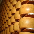 Lattiero-caseari, prosegue calo prezzi. Giù Parmigiano Reggiano, latte e burro