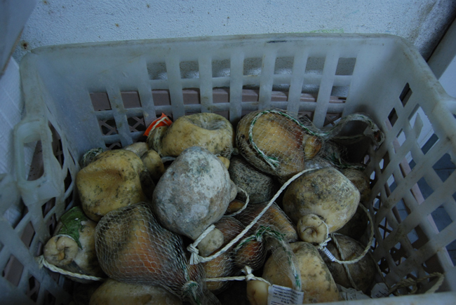 Alimenti scaduti, rietichettati e venduti come freschi. Gdf sequestra 4 tonnellate di merce