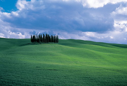 “Toscana Raccontata”, un premio letterario per scoprire il territorio. Il 29 novembre a Siena si proclama il vincitore