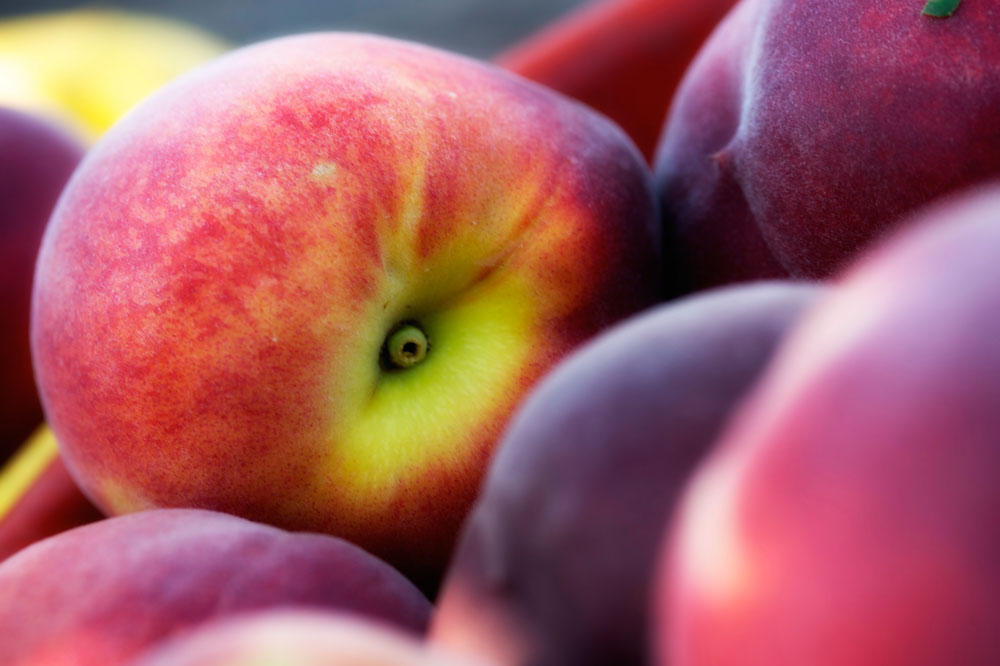 Analisi sensoriali sulla frutta della Lucchesia, ipovedenti fanno da tester