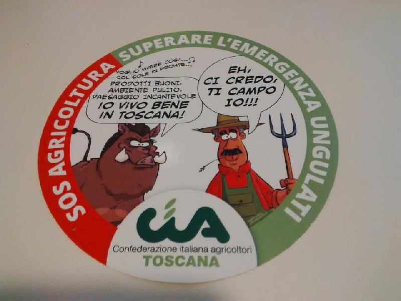 Emergenza ungulati, la Toscana si mobilita. La caccia non basta, serve attuazione Piano faunistico
