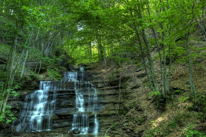 Le faggete del Parco nazionale delle Foreste Casentinesi candidate a Patrimonio Unesco
