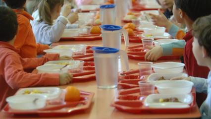 Parassiti della pasta nella minestra a scuola. Azienda ristoratrice multata