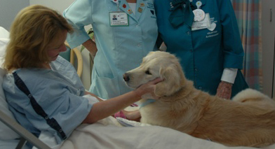 Fido accanto al suo padrone in corsia, in Toscana è realtà
