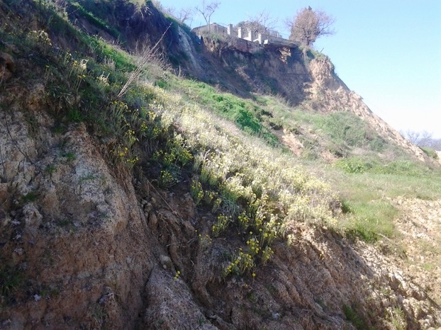 Una frana rompe la tubazione, colline della Maremma senz’acqua