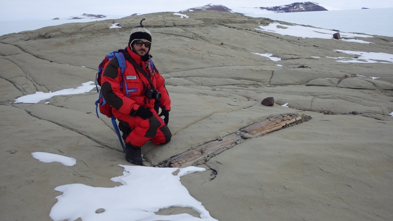Ricercatori dell’Università di Siena scoprono una foresta fossile in Antartide