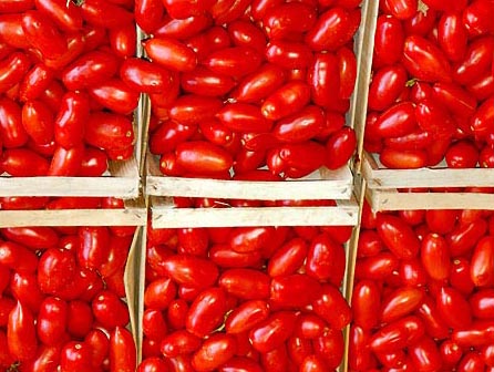 Contratto di trasporto: nuova grana anche per il settore agricolo?