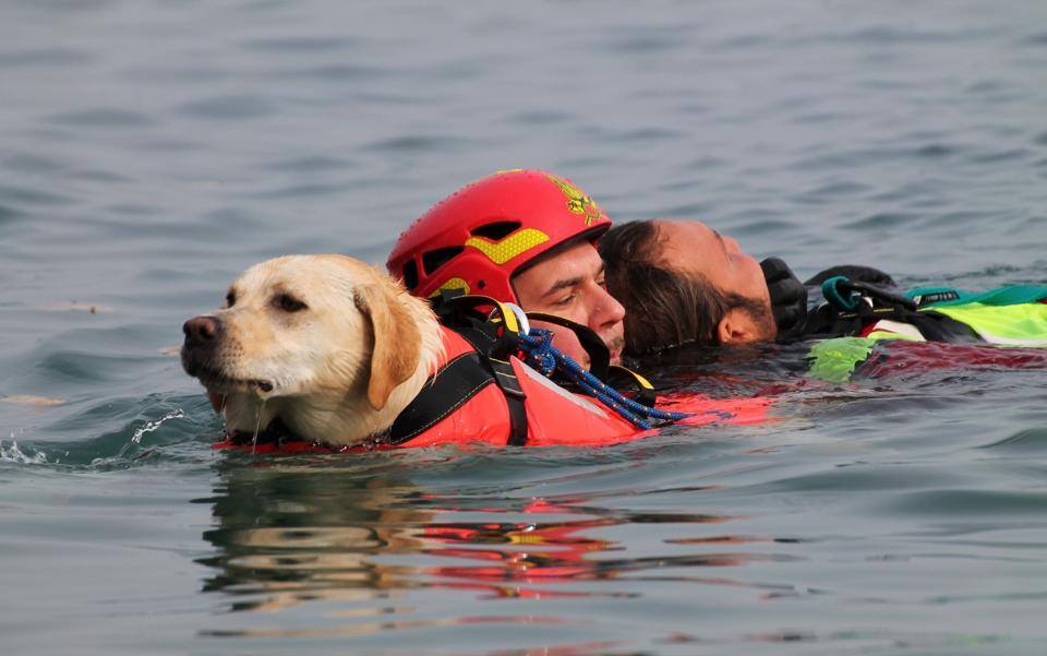 Gorgona, cani-salvataggio al fianco dei detenuti