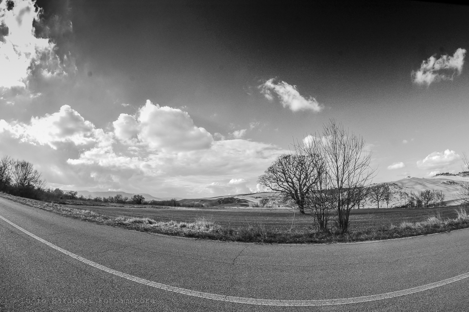 Sulle curve