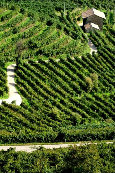 Primavera del Prosecco: al via la XX edizione dal 14 marzo