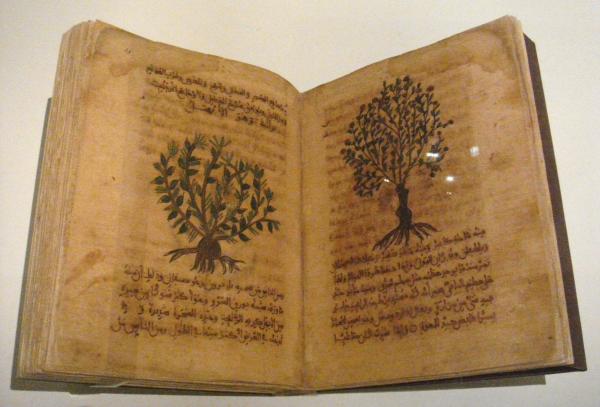 “De materia medica” a Cortona, l’11 marzo la presentazione dell’antico codice greco