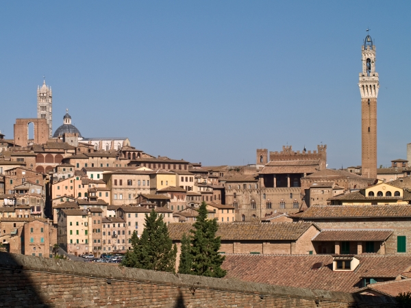 Siena sboccia a primavera con le Giornate Fai, il 21 e 22 marzo weekend dedicato all’arte
