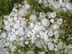 La denuncia di Upa Siena. Tagli netti ai rimborsi assicurativi per calamità naturali, una decisione incomprensibile