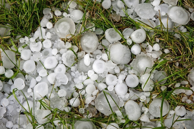 La denuncia di Upa Siena. Tagli netti ai rimborsi assicurativi per calamità naturali, una decisione incomprensibile