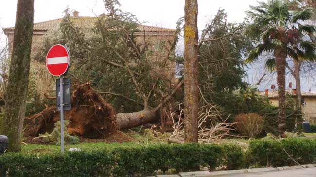 Toscana in ginocchio. Il vento non si placa, in 35mila senza luce. 2mila interventi dei pompieri