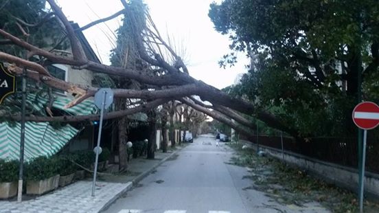 Briatore per la Versilia. Dopo il maltempo la ricostruzione parte con una raccolta fondi