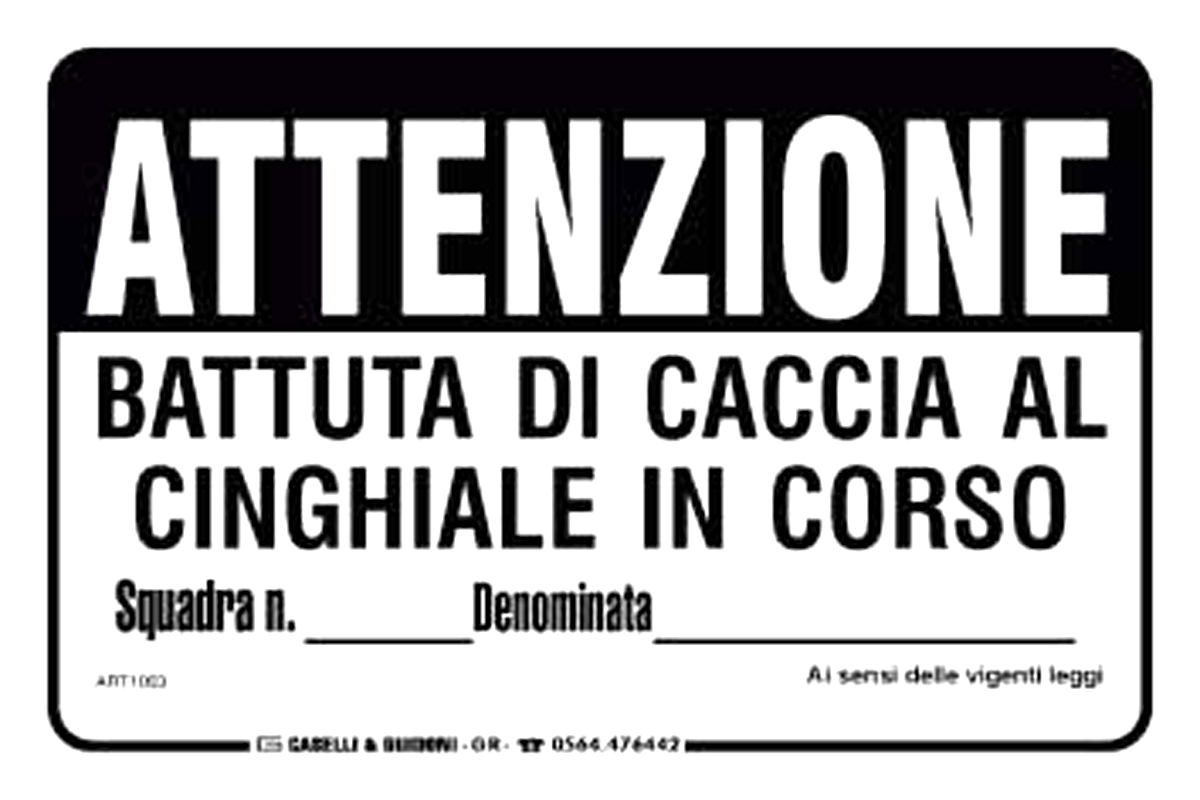 Spari contro. A Siena i cinghiali fanno litigare i democratici. Tutti contro Simone Bezzini