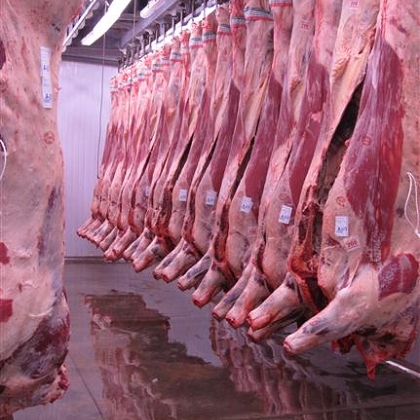 Macellazioni in calo del 1-2% in Italia nel 2014