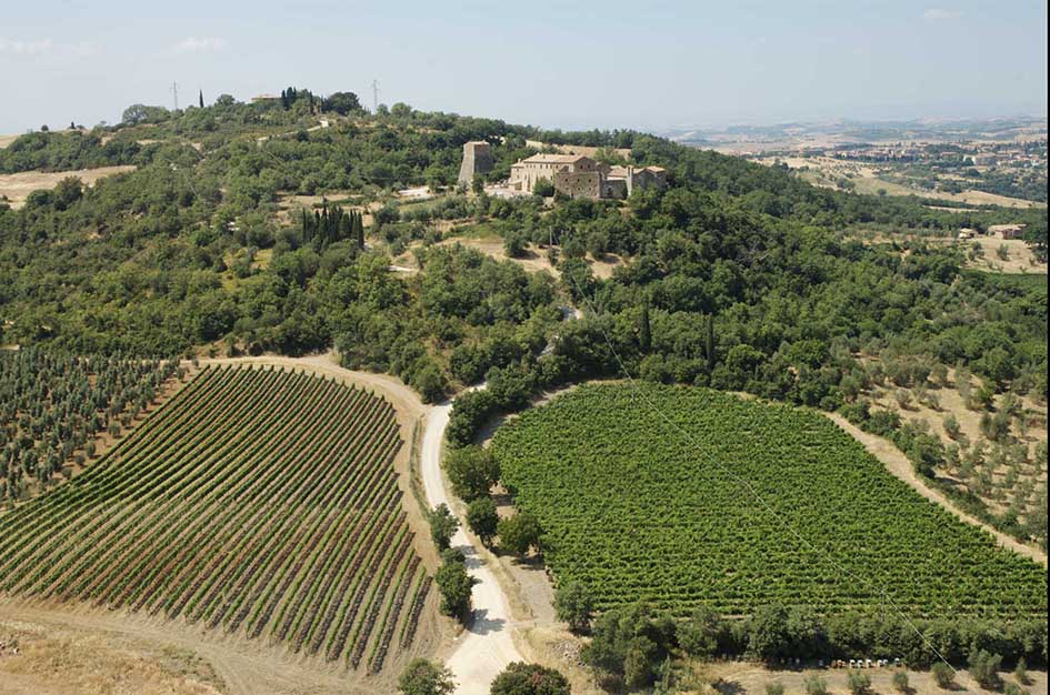 Orcia Wine Festival, un viaggio nella DOC con panorama