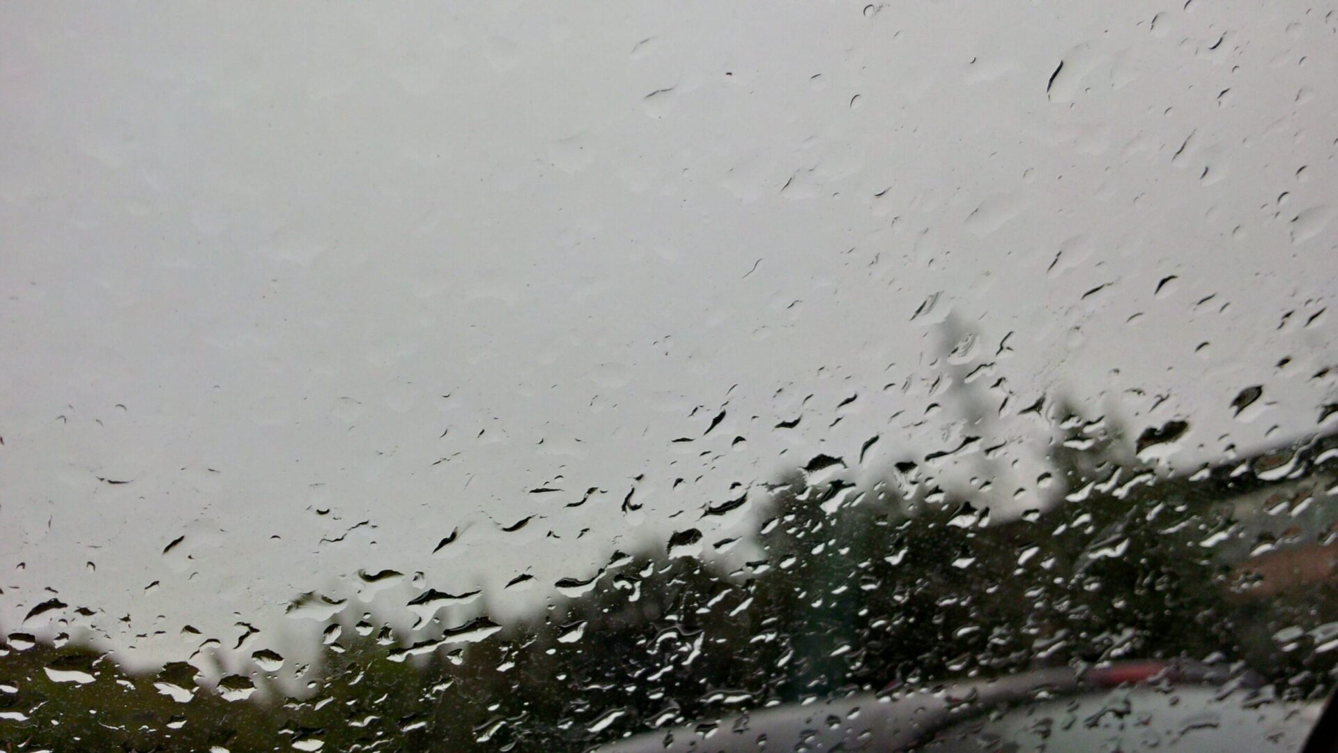In rilievo