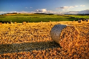 Rimettere l’agricoltura al centro per sanare il suolo