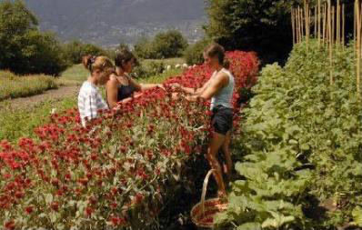 Segnali di ripresa, «Che agricoltura sia faro dell’economia»