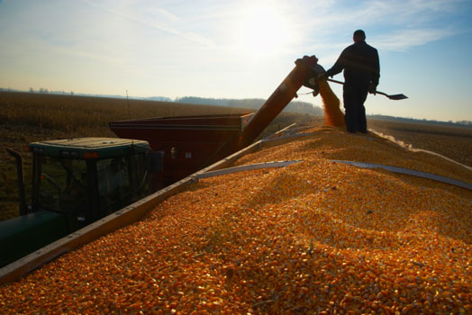 Toscana, le 5 priorità per i candidati alla Regione in ambito agricolo