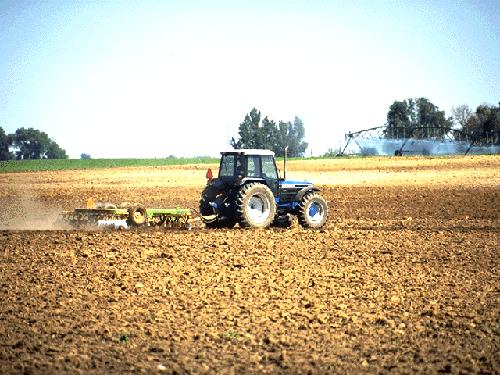 Pil, Confeuro: «Crescita dovuta ad agricoltura»