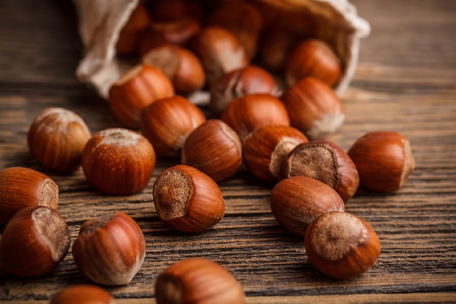 Ismea, Ferrero e Regione Lazio insieme per lo sviluppo del nocciolo