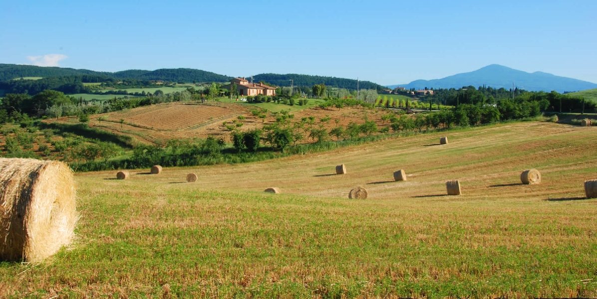 Giornate toscane dell’agriturismo, ad Expo la presentazione degli eventi