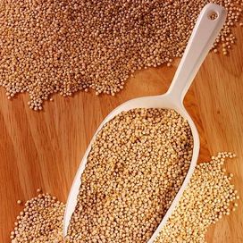 Alimentazione, ecco la nuova piramide alimentare transculturale con sorgo e bamboo