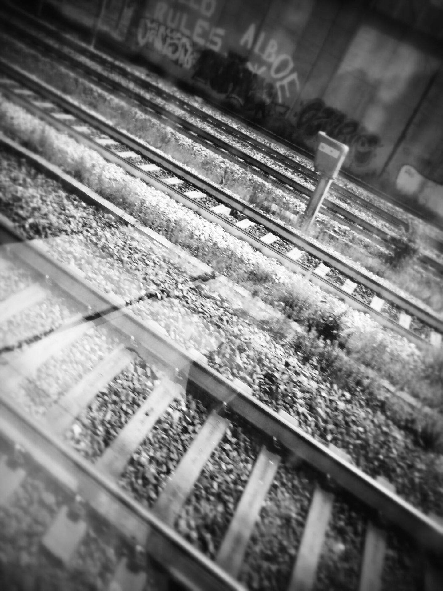 Train de vie