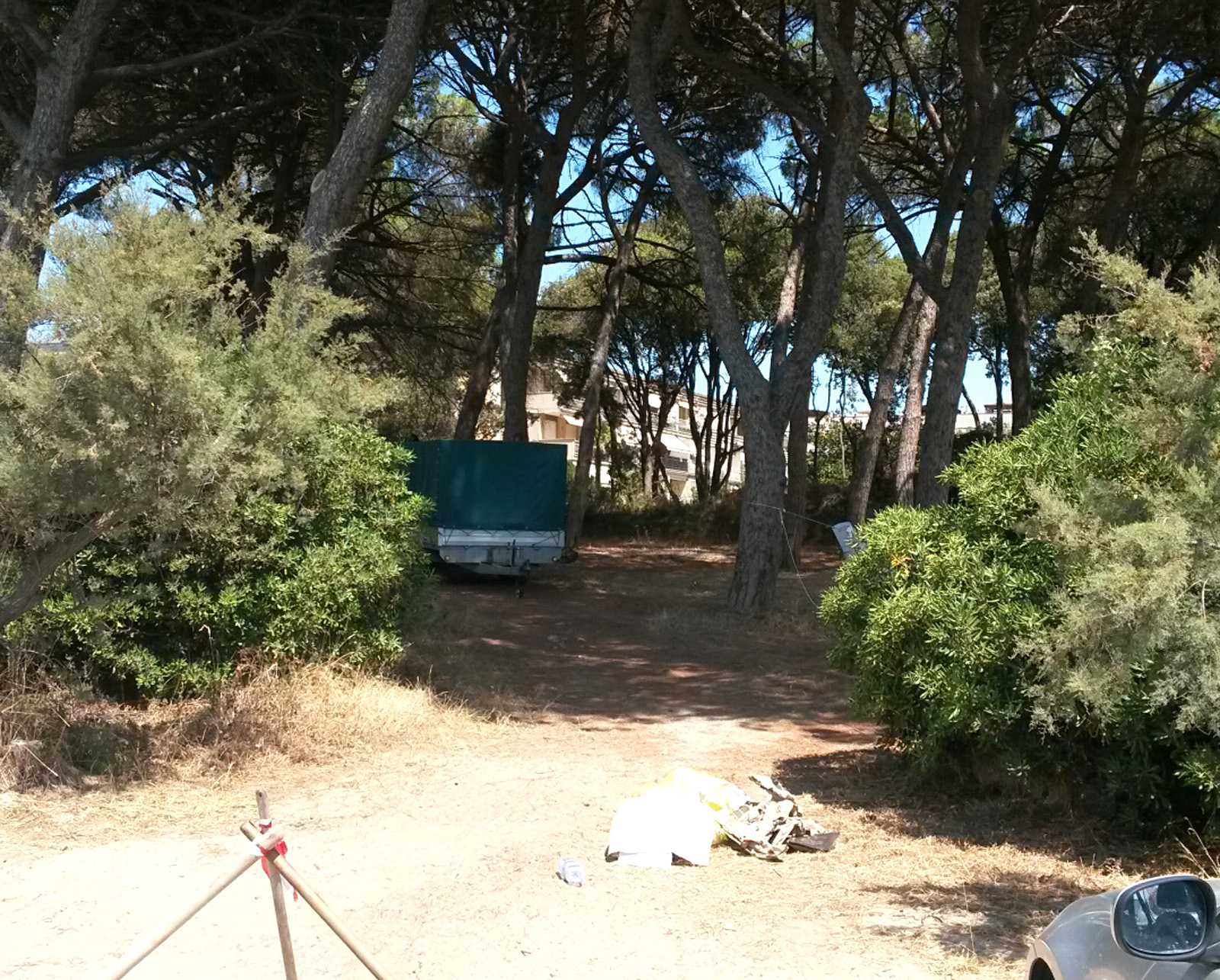 Mare e pineta. Follonica restituisce un’area di verde a Pratoranieri