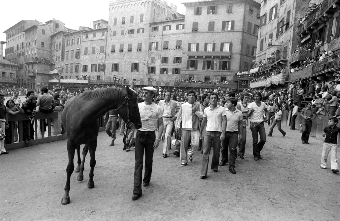 Un Palio da Matti…oli