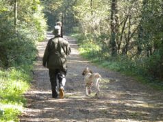 Piano venatorio, Enpa attacca la proposta della Toscana: “Troppa crudeltà”