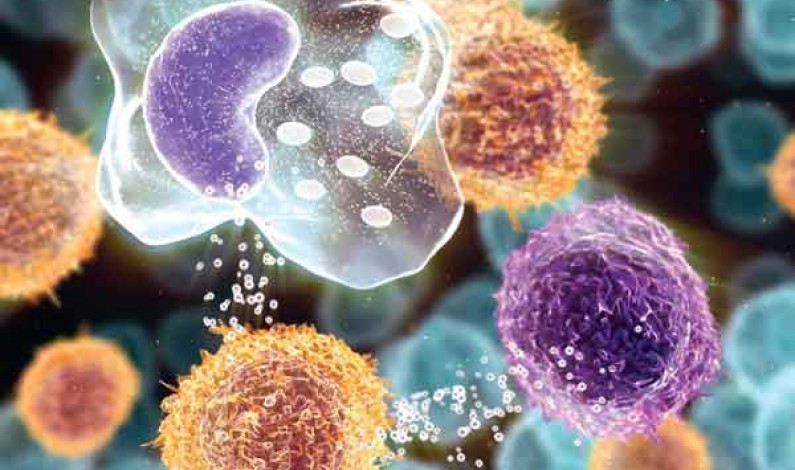 La scoperta. La ricerca evidenzia nuovi meccanismi della Sindrome di Rett