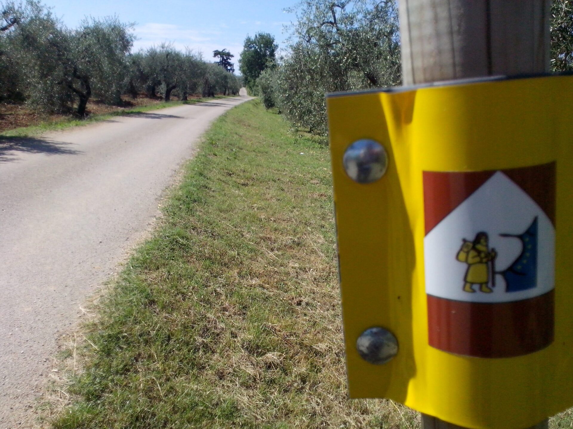 In cammino