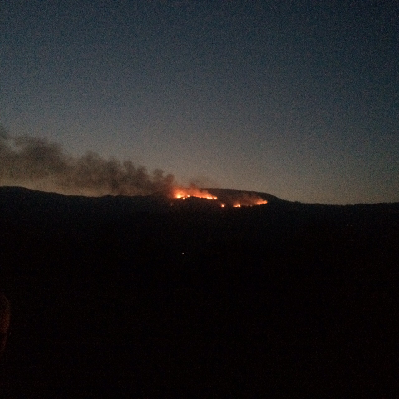 Inferno di fuoco. Fiamme a Caprese Michelangelo, una notte per domarle