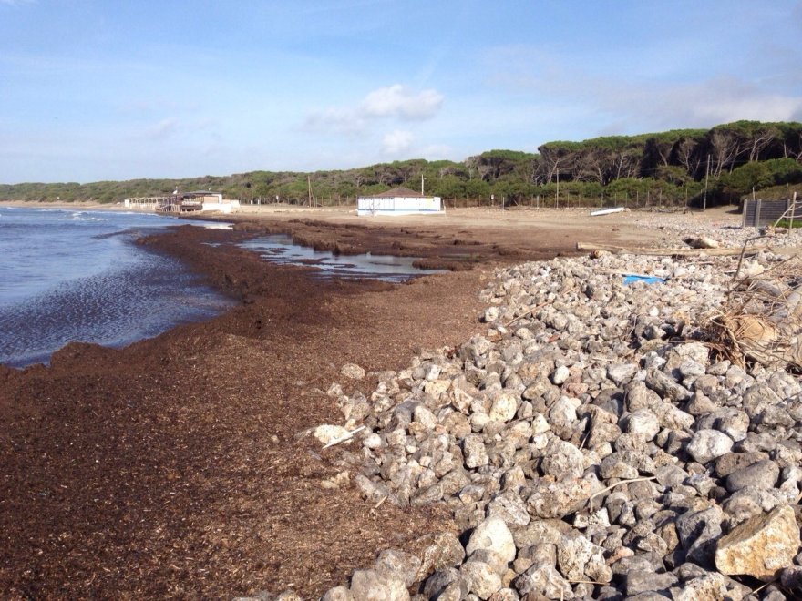 Emergenza Orbetello. Cambio flusso delle acque e turisti in fuga