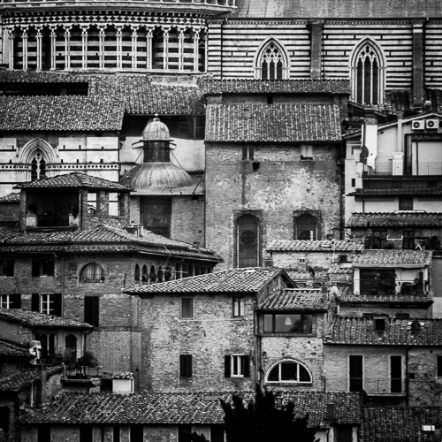 Prospettive