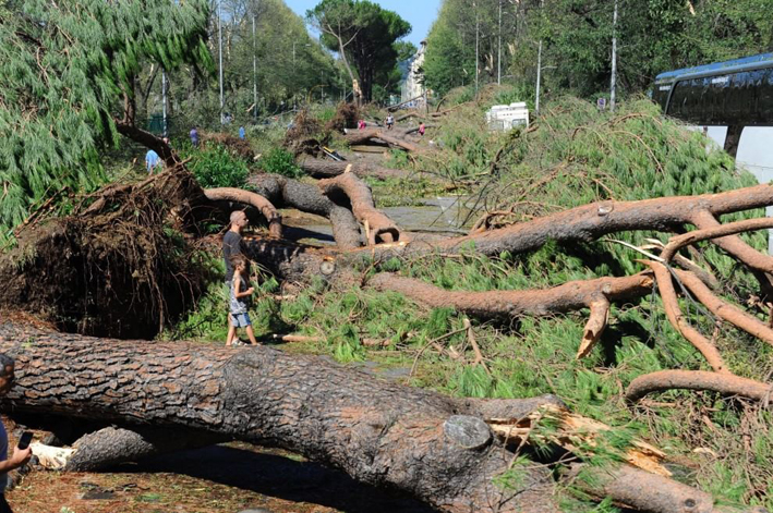 Tornado su Firenze. La città si lecca le ferite